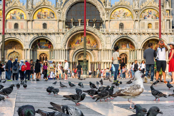 Architectural close-up of the iconic St. Mark's Basilica in Venice, Italy, under a cloudy sky with a seagull in flight.