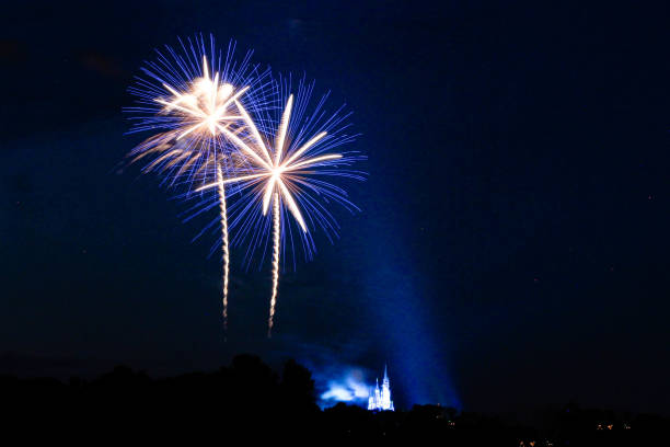 Fireworks Display