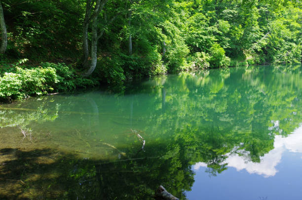 istock Kama pond（Nagano prefecture） 817474930