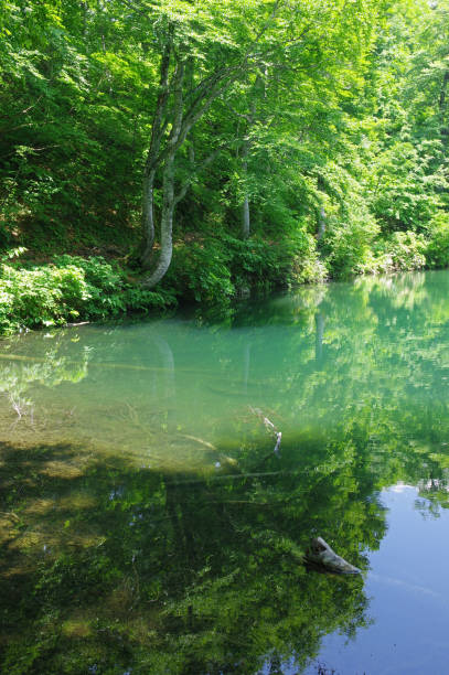istock Kama pond（Nagano prefecture） 817475022