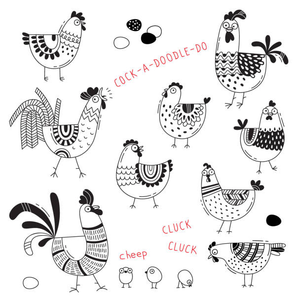 Vector images of chickens, hens, cocks, eggs in cartoon style, line art. Elements for design cover food package, advertising banner, card - ilustração de arte vetorial