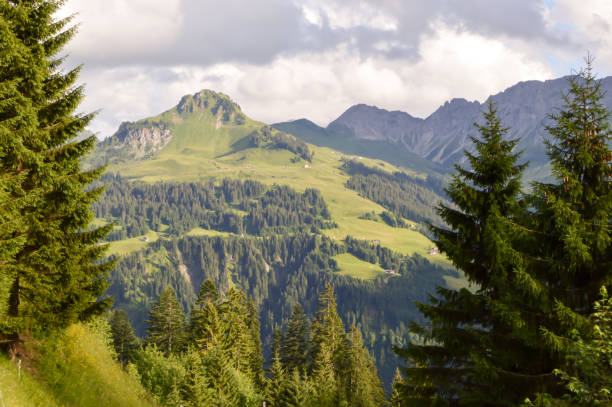 istock View of a valley and green hills 817480560