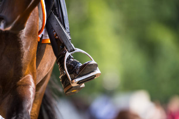 сторона лошади dressage, ботинк катания и stirrup - stirrup стоковые фото и изображения