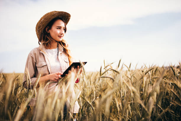 istock Female farm agronomist checking an agricultural field using a tablet 817492574