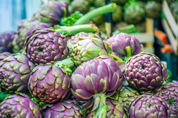 gruppo di carciofi - purple artichoke foto e immagini stock