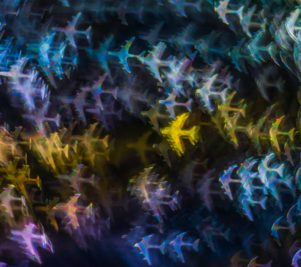 Beautiful background with different colored airplane, abstract background, airplane shapes on black background, bokeh