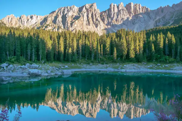 Latemar mountain reflected on Lake Carezza, South Tyrol, Italy