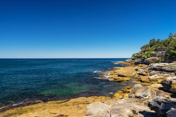 istock Bondi Beach in Sydney, Australia 817532820