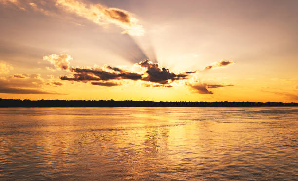 niesamowity zachód słońca w rio madeira w porto velho ro brazylia - rondonia state zdjęcia i obrazy z banku zdjęć