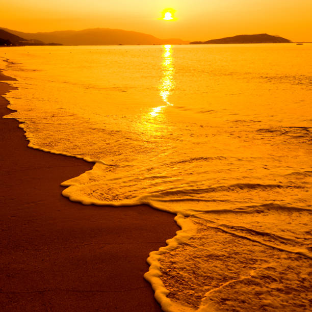 istock Golden beach under the sunset 817558732
