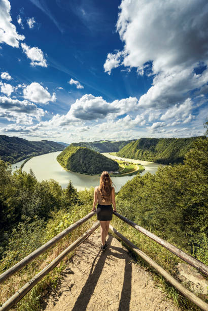 vista do rio danúbio no verão - danube river danube valley austria valley - fotografias e filmes do acervo