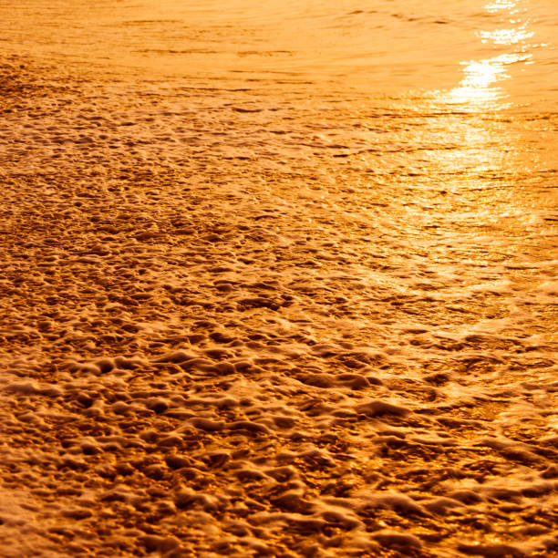 Sunrise on traveling for refreshing mind and soul apart from fun to the seashore Beach around Asia, India. Odisa, India, very popular in eastern India.\