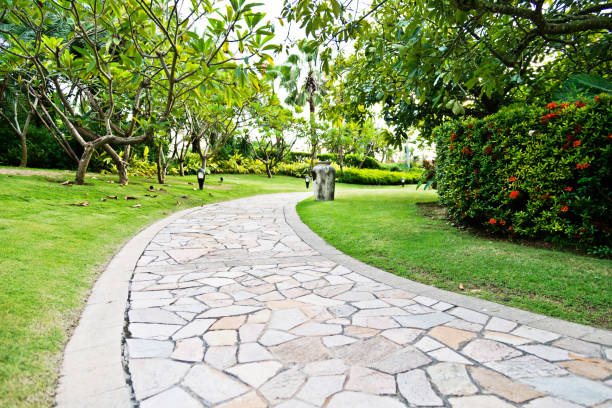 istock Curved path in the formal garden 817578064