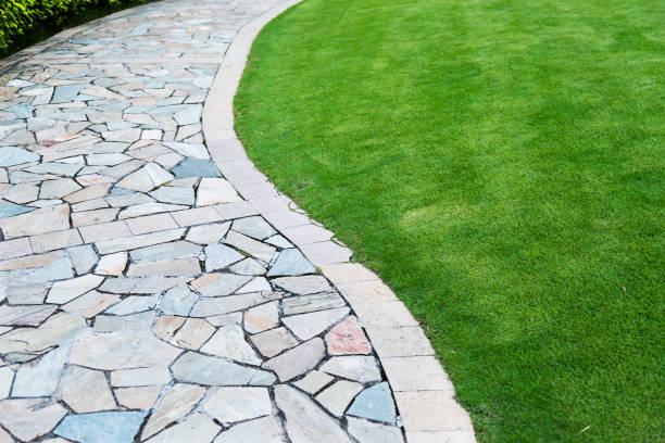 istock Stone path in the formal garden 817578204