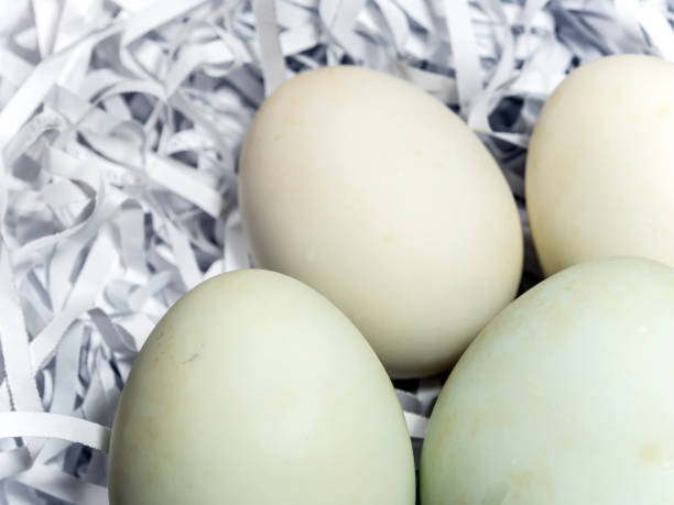 istock Eggs on the straw paper in recycle plastic bag 817578360