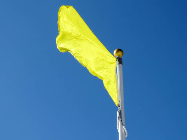 Toronto High Park yellow flag 2017