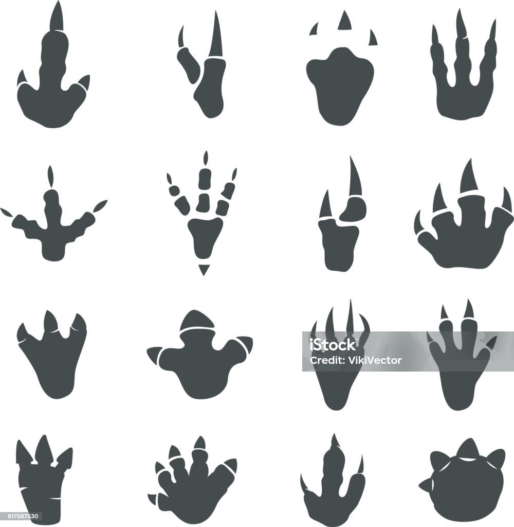 Dinosaur footprints collection on white Dinosaur footprints collection, detailed foot anatomy, paleontology black traces, educational journey of discovery for kids. Vector flat style illustration isolated on white background Dinosaur stock vector