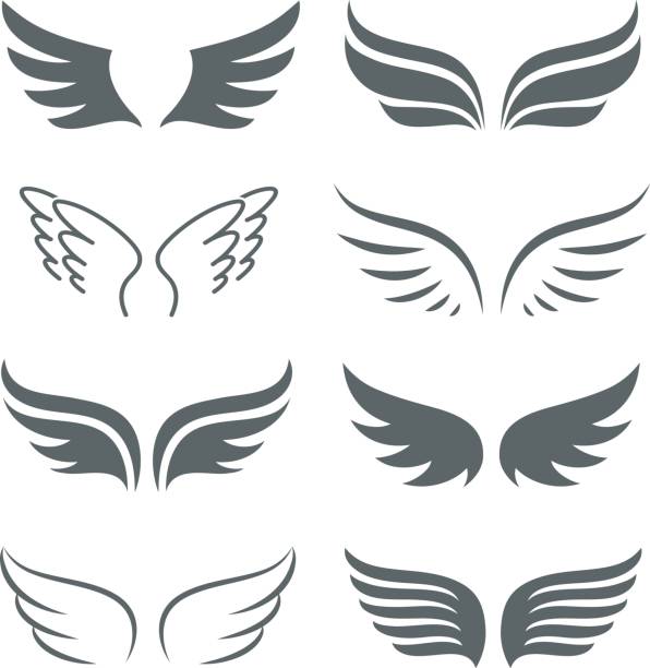 illustrations, cliparts, dessins animés et icônes de paire de monochrome ailes vector icon set - ailes déployées