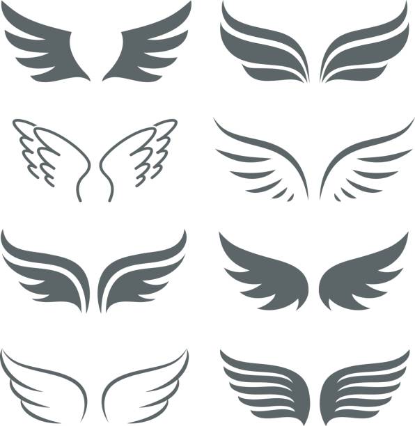 Pair of monochrome wings vector icon set Pair of monochrome wings vector icon set. The concept of freedom or flight. Abstract silhouettes of wings isolated on white background. spread wings stock illustrations