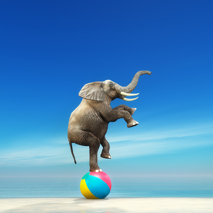 An elephant on a beach ball on the seashore. This is a 3d render illustration