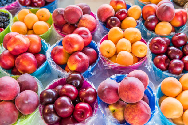 Closeup of many summer fruit in baskets in farmers market on display, including peaches, plums, nectarines and apricots
