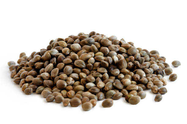istock Heap of hemp seeds 817600520