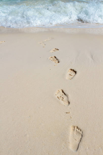 istock Footprints in the sand on the beach 817600742