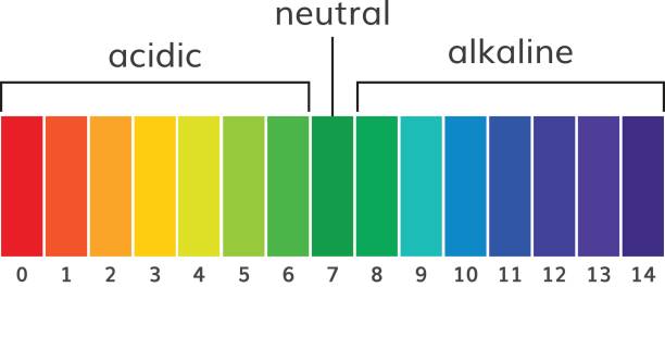 ilustrações, clipart, desenhos animados e ícones de vetor de escala alcalinas e ácidas de ph de gráfico - litmus test