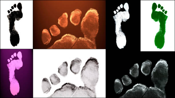 istock Human foot print  identification biometrics ink 817609960