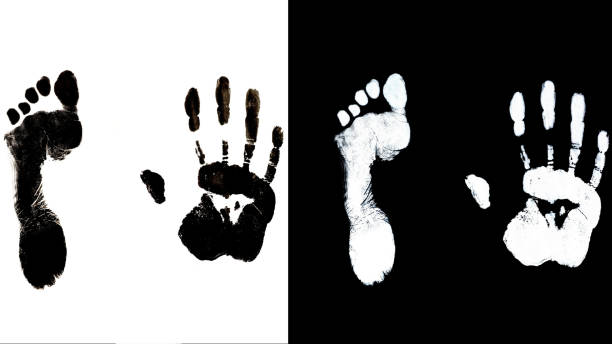 istock Human foot end hand prints identification biometrics ink 817611306