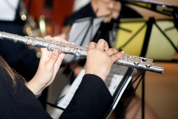istock Young female musician' hands playing flute. 817616284