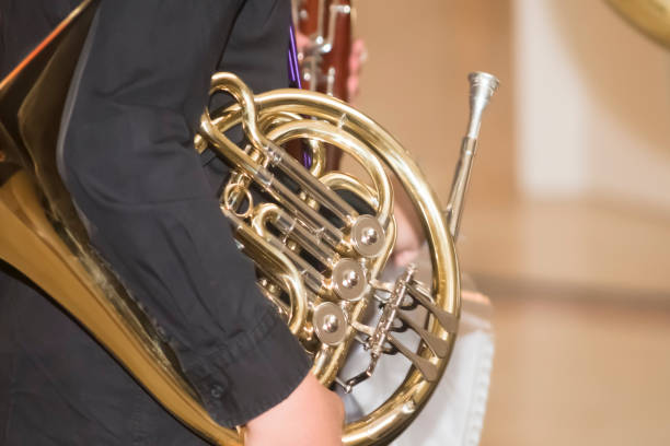 istock Holding french horn, classical music. 817616372