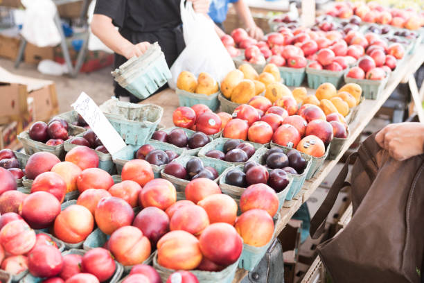 istock Farmers market fruit selection 817617598