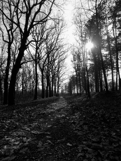 istock A black and white walk in the afternoon 817620430