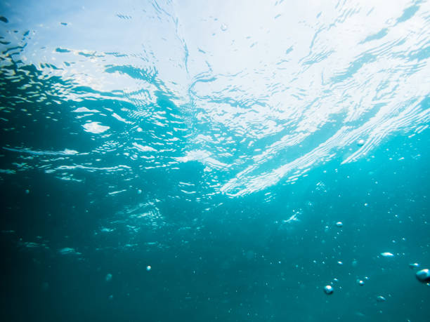 istock Underwater turquoise texture in ocean and waves. 817621166