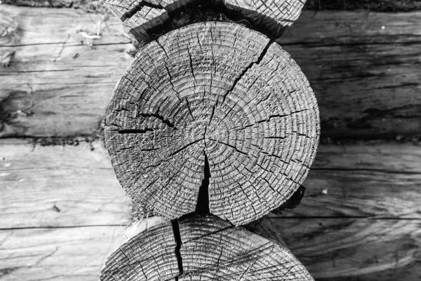 ログから作られた木製の壁。黒白い木目の背景。クローズ アップ。 - wood rustic close up nail ストックフォトと画像