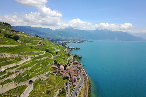 de lavaux, na suíça - international landmark sunny lake sky - fotografias e filmes do acervo