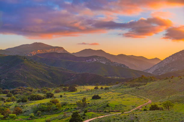 Palomar Mountain Valley glows in sunset Palomar Mountains sunset, Palomar Mountain road,  California Oaks, Palomar Mountains, Palomar foothills, San Diego county foothills southern california stock pictures, royalty-free photos & images