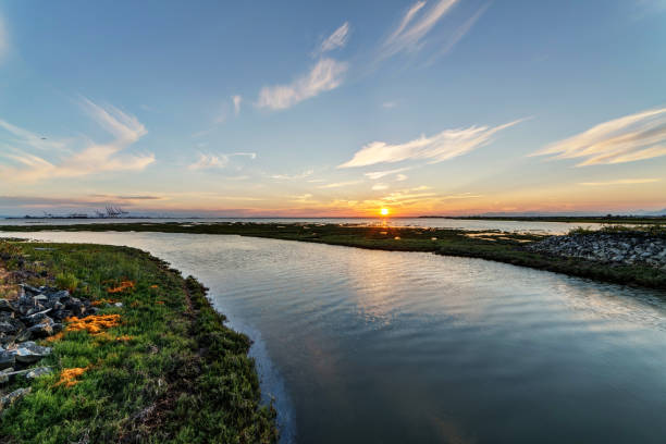 istock seashore at sunset time, Tsawwassen, Delta, British Columbia, Canada 817691816