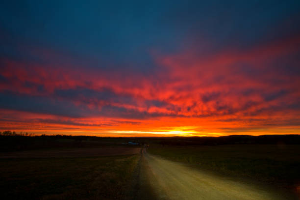 istock Idyllic rural landscape in golden light 817696376