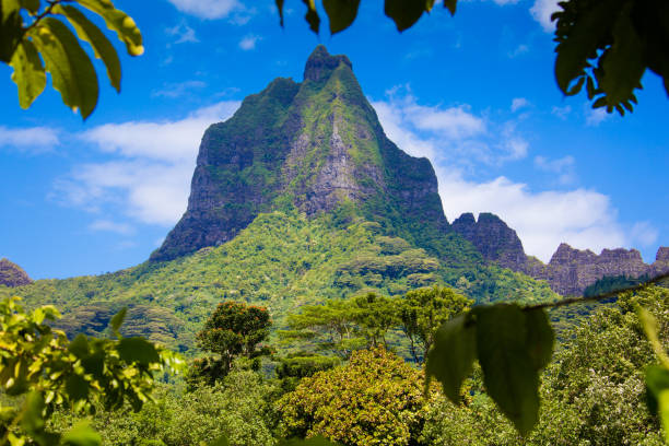 istock Mount Mauaroa on Moorea,  French Polynesia 817710412