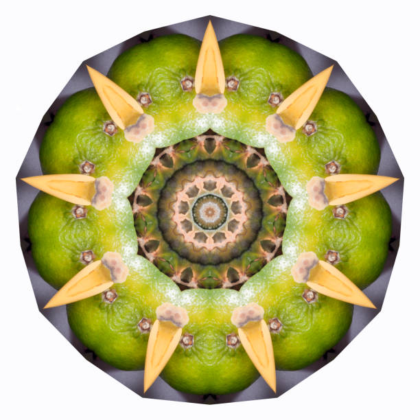 istock Abstract ornamental pattern from tropical fruits 817710692
