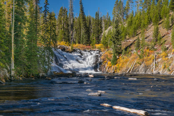 istock Lewis Falls Yellowstone National Park 817711366