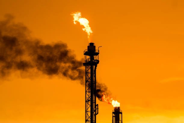 camino in fiamme - oil industry oil rig fuel and power generation tower foto e immagini stock