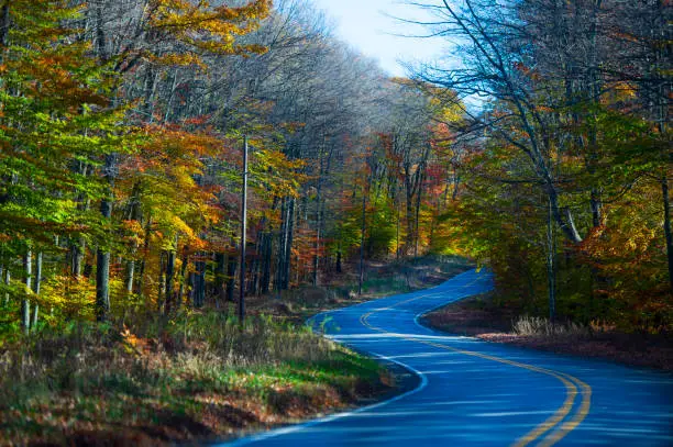 Photo of Autumn Road