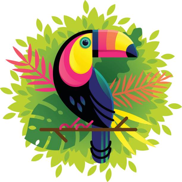 vector toucan na kwiecistym tle - animal animal themes tropical rainforest cartoon stock illustrations