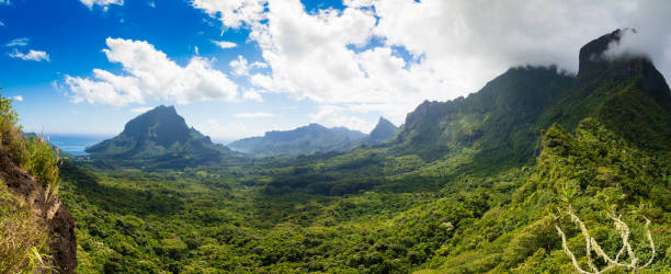 istock Landscape on Moorea with Mount Toheia, French Polynesia 817726340