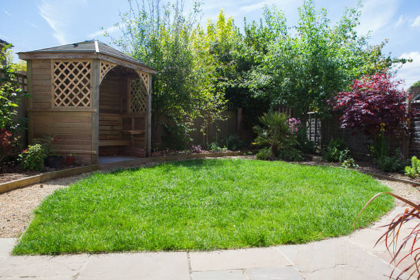 istock Landscaped garden with lawn area and borders 817751156