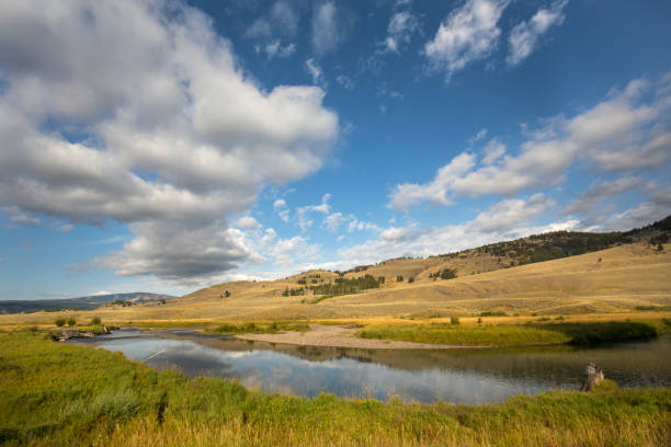 istock Dramatic clouds in blue sky over Lamar Valley, Yellowstone. 817765224