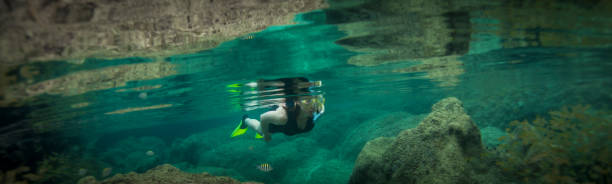 istock Woman and nature 817766408